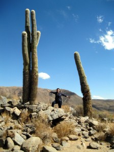 Salta wine tours Cafayate Wine Tours