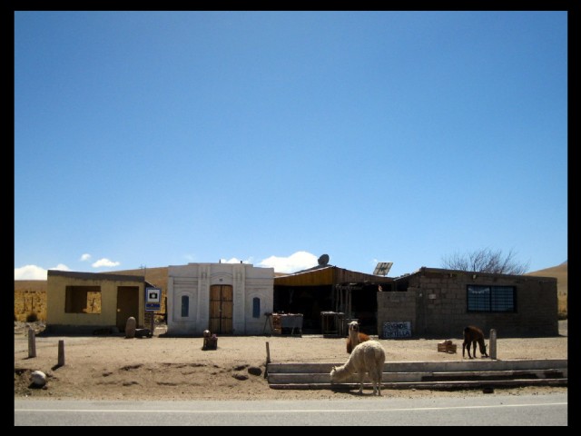 Argentina’s Northern Wine Region: Cafayate